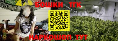 гашик Будённовск