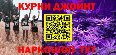 гашик Будённовск