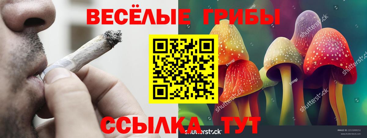Псилоцибиновые грибы Psilocybe  Вход с VPN  Томск  Псилоцибиновые грибы Psilocybe 