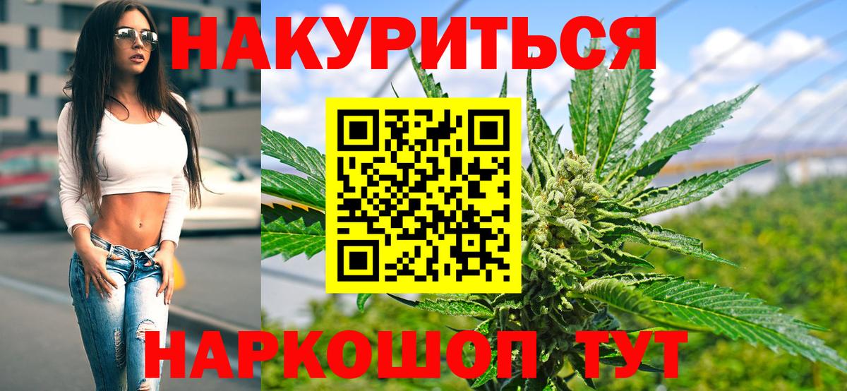Конопля марихуана Томск